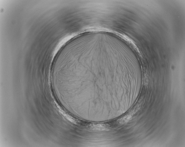 X0000059081231200511041813