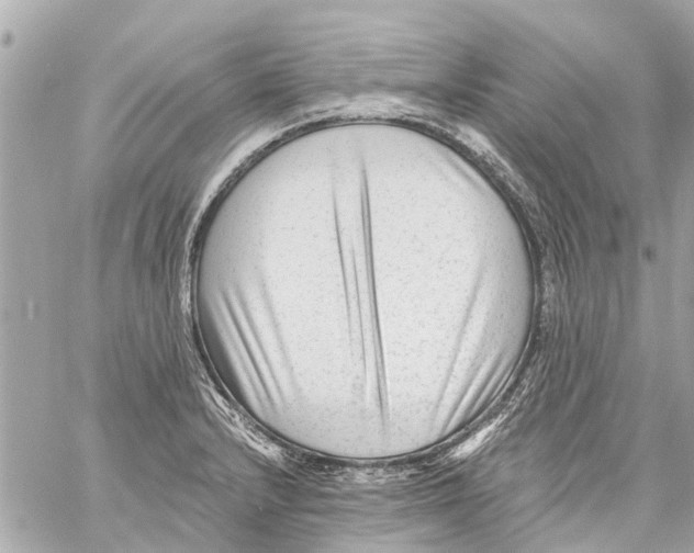 X0000059081232200511041813