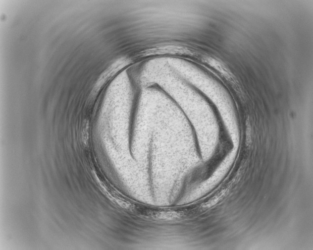 X0000059081233200511041813