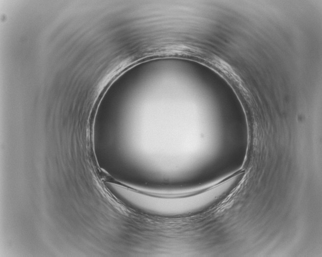 X0000059081234200511041813