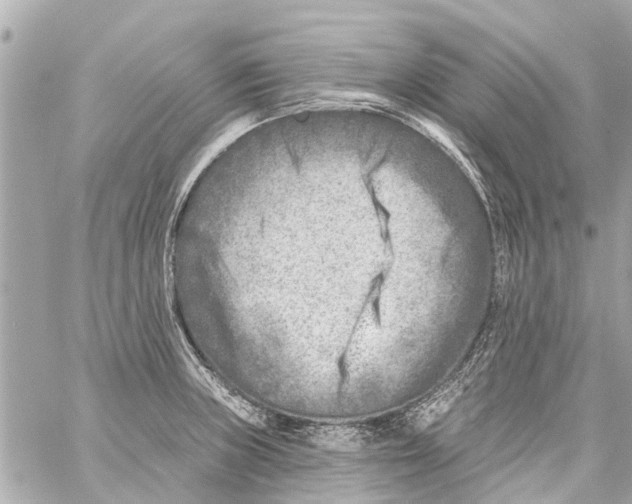 X0000059081235200511041813