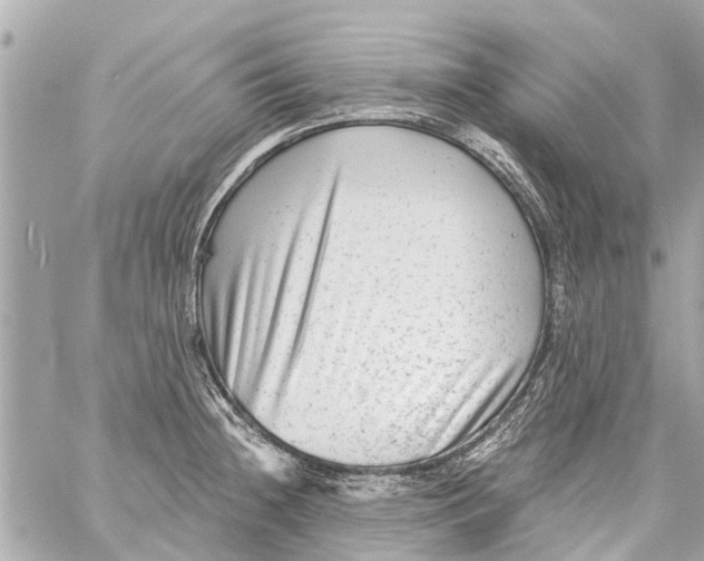 X0000059081236200511041813