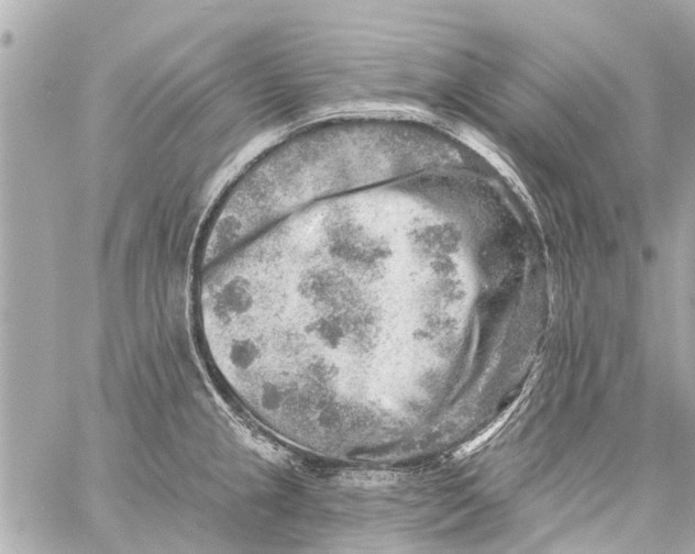 X0000059081237200511041813