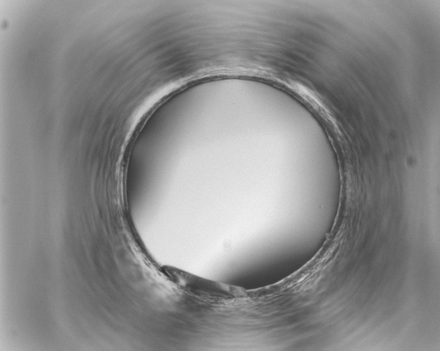 X0000059081238200511041813