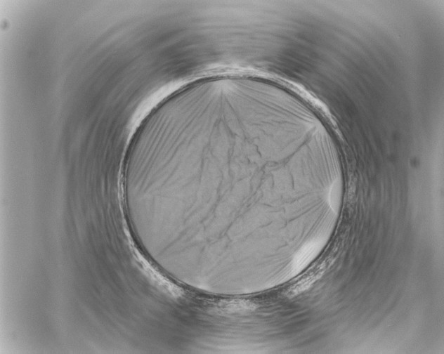 X0000059081239200511041813