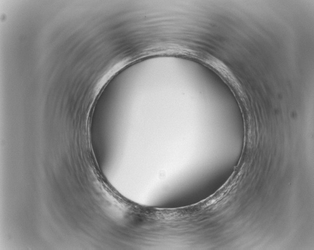 X0000059081242200511041813