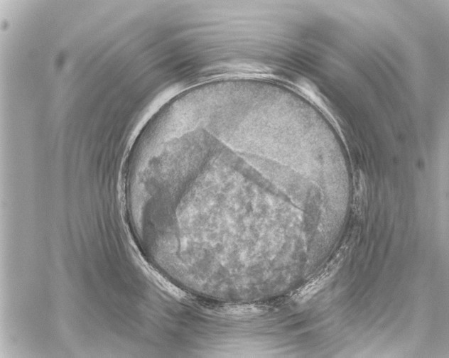 X0000059081243200511041813