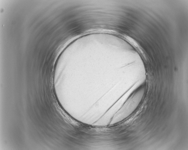 X0000059081244200511041813