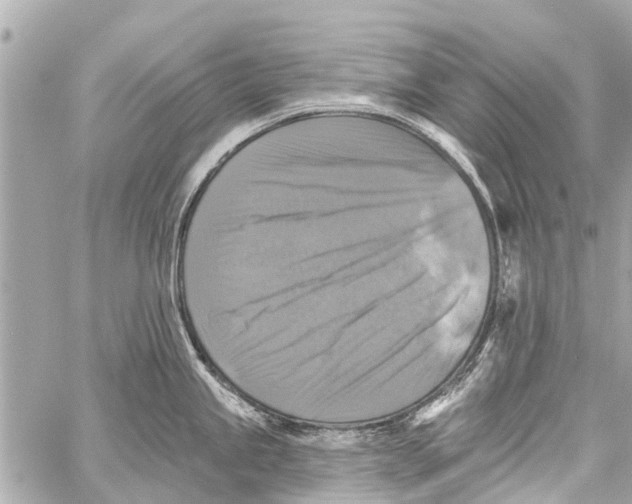 X0000059081245200511041813