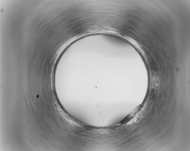 X0000059081246200511041813