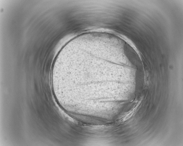 X0000059081247200511041813