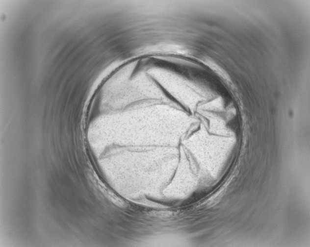 X0000059081248200511041813