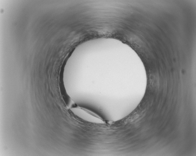 X0000059081249200511041812