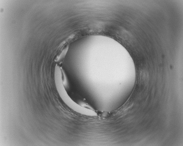 X0000059081250200511041812