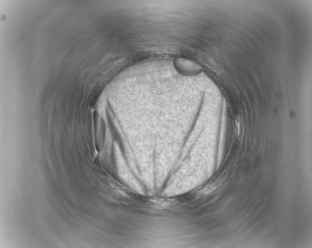 X0000059081251200511041812