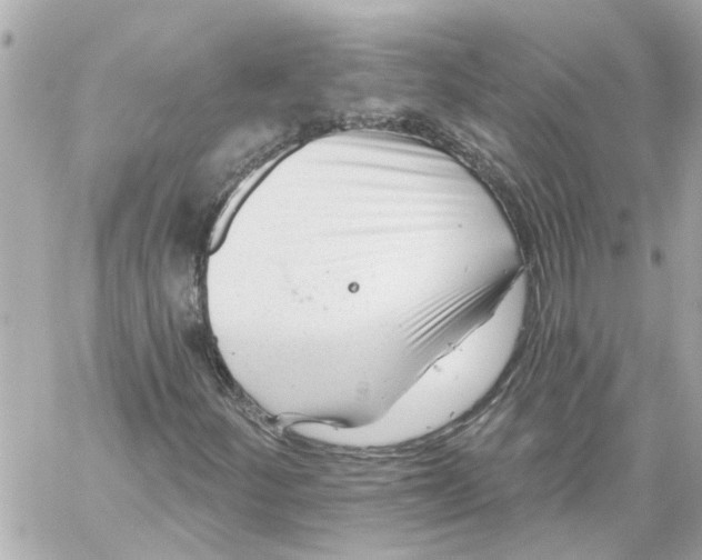 X0000059081252200511041812