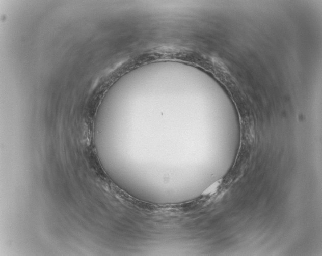 X0000059081253200511041812