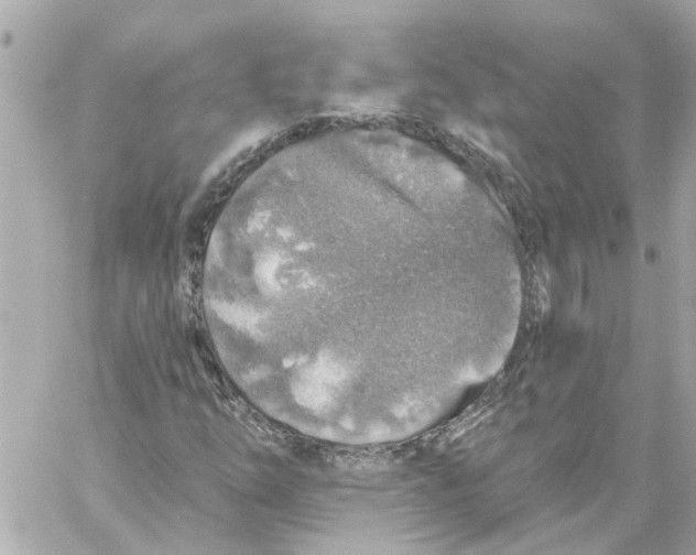 X0000059081254200511041812