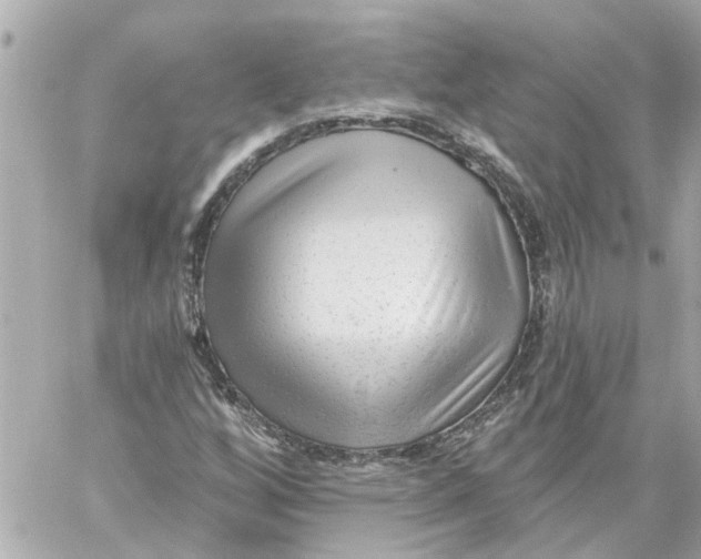 X0000059081256200511041812