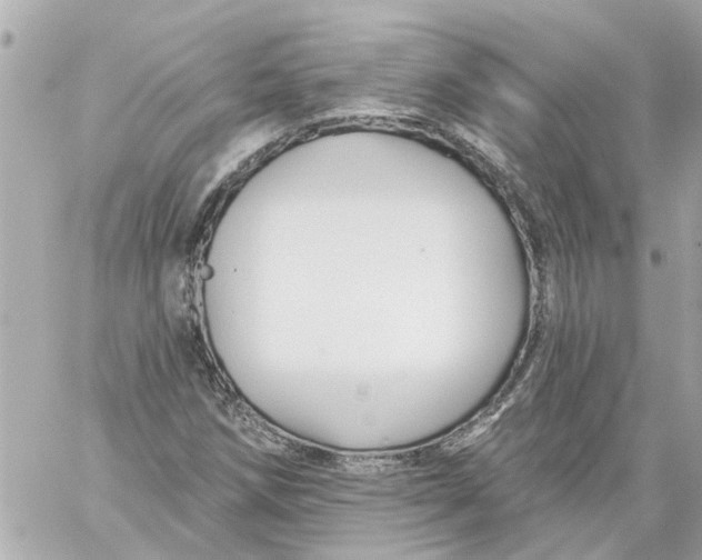 X0000059081258200511041812