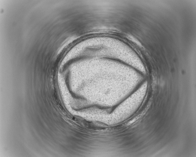 X0000059081259200511041812