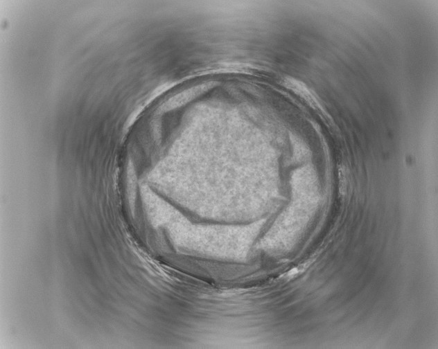 X0000059081260200511041812