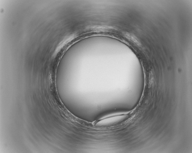 X0000059081261200511041812