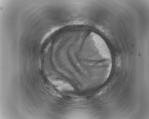 X0000059081262200511041812