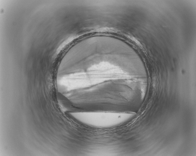 X0000059081263200511041812