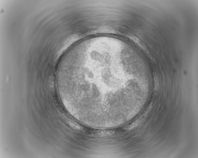 X0000059081266200511041812