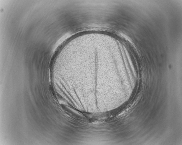 X0000059081267200511041812