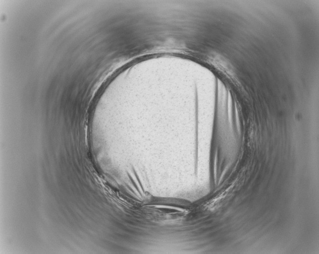 X0000059081268200511041812