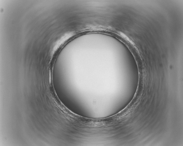 X0000059081269200511041812