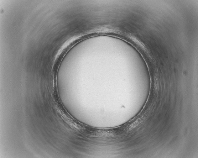 X0000059081270200511041812