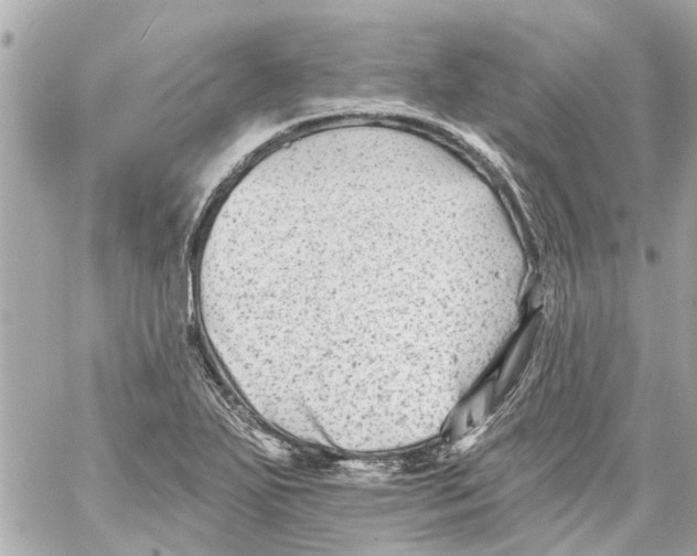 X0000059081271200511041812