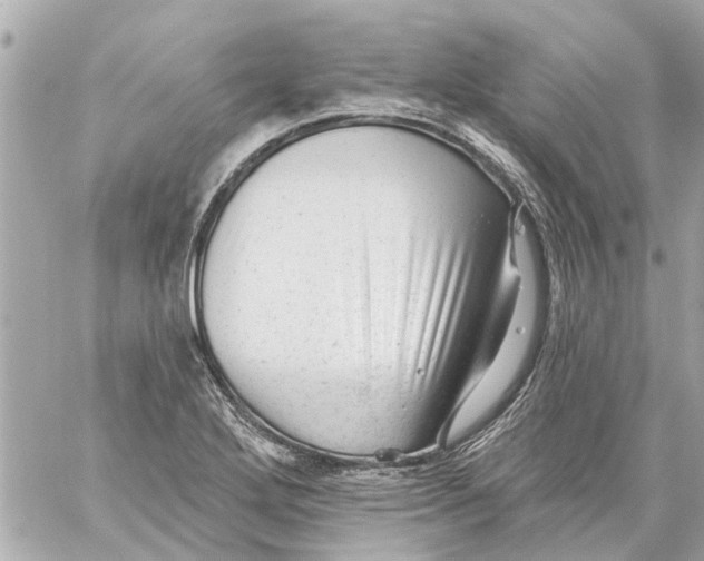 X0000059081272200511041812