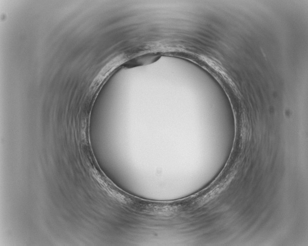 X0000059081273200511041812