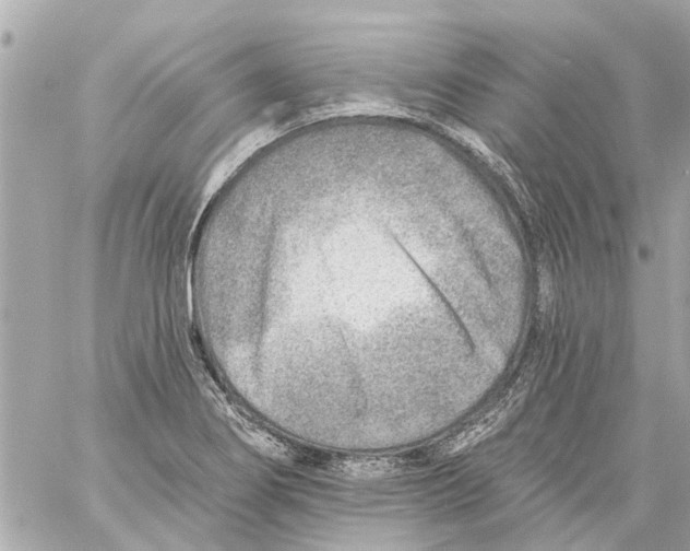 X0000059081274200511041812