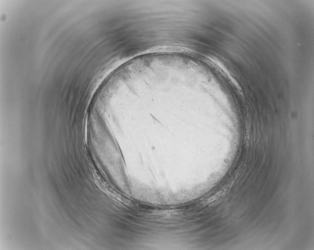 X0000059081276200511041812