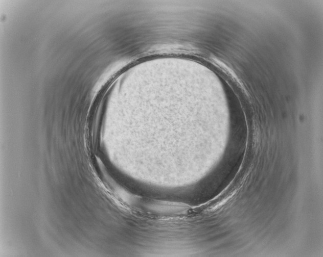 X0000059081277200511041812