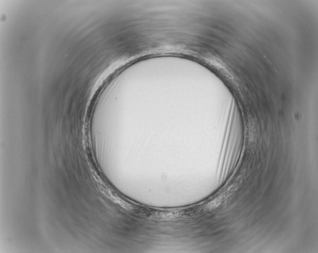 X0000059081278200511041812