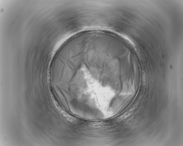 X0000059081279200511041812