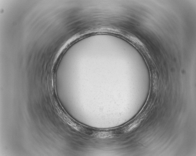 X0000059081280200511041811