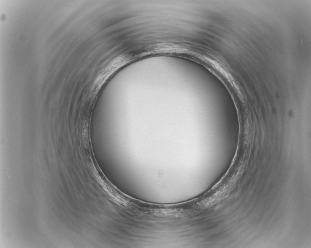 X0000059081281200511041811