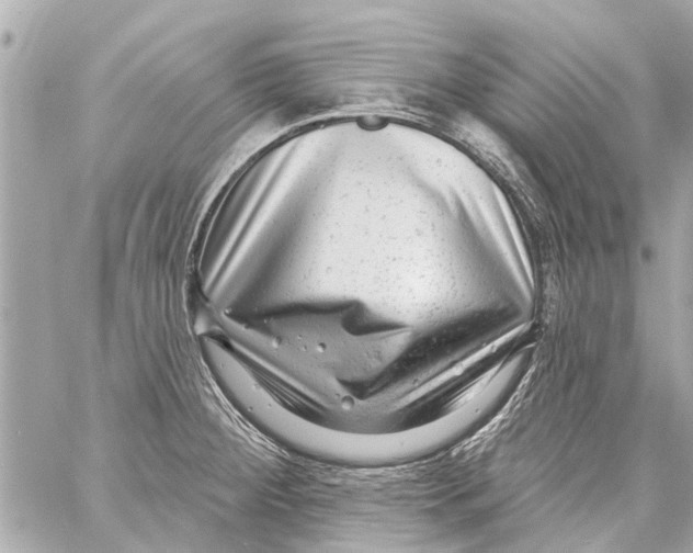 X0000059081284200511041811