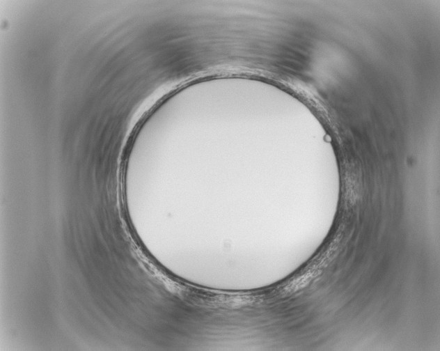 X0000059081286200511041811