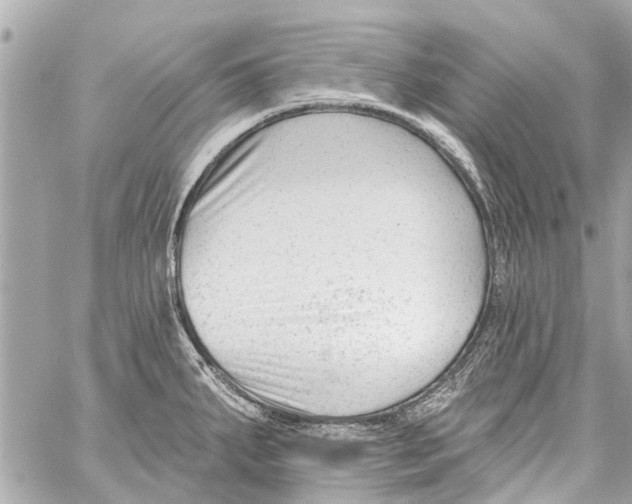 X0000059081287200511041811