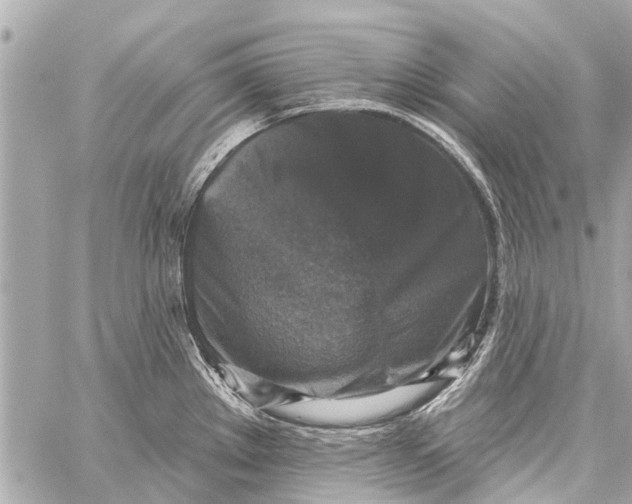 X0000059081289200511041811