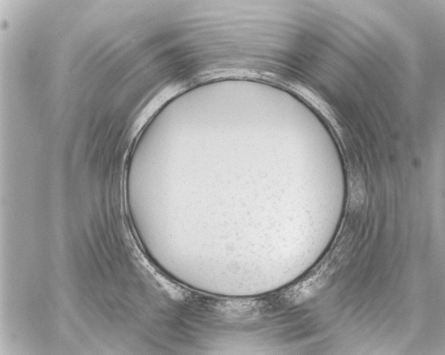 X0000059081290200511041811