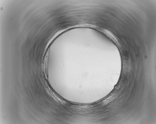 X0000059081292200511041811